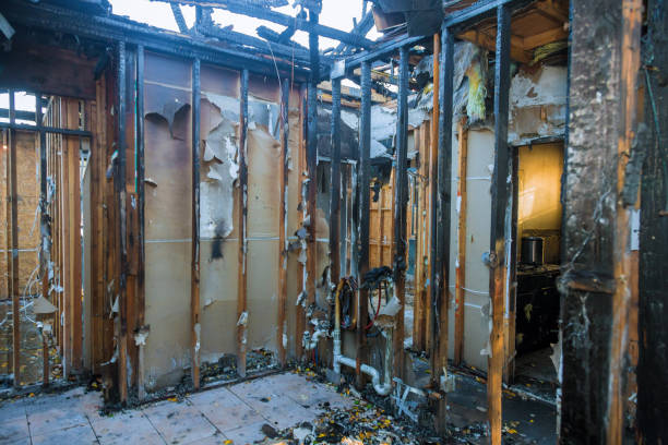 Professional Fire Damage Removal technician working in Lewisville, WA