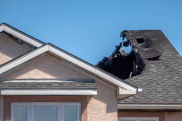 Top rated local Fire Damage Removal specialists in Lewisville, WA